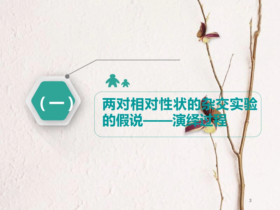 （全国通用版）2019版高考生物一轮复习 第2部分 遗传与进化 第一单元 遗传的基本规律与伴性遗传 第2讲 第1课时 基因的自由组合定律与常规题型课件_第3页