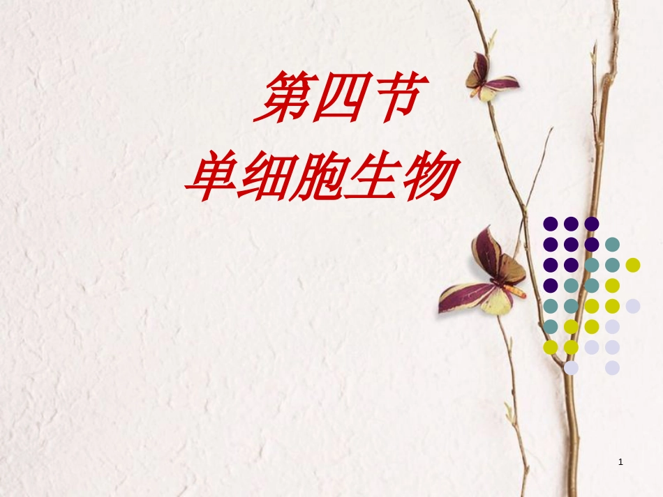 湖南省桑植县七年级生物上册 第二单元 第二章 第四节 单细胞生物课件 （新版）新人教版_第1页