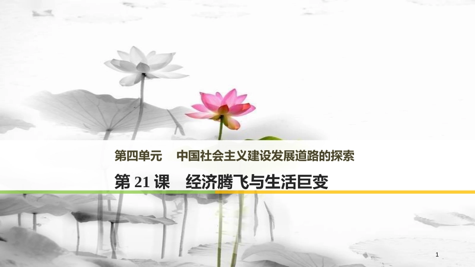 高中历史 第四单元 中国社会主义建设发展道路的探索 第21课 经济腾飞与生活巨变课件 岳麓版必修2_第1页