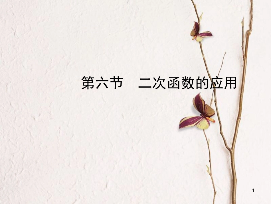 河北省中考数学总复习 第三章 函数 第六节 二次函数的应用课件_第1页