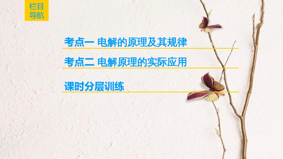 2019年高考化学一轮复习 第6章 化学反应与能量转化 第2节 电能转化为化学能——电解课件 鲁科版_第2页
