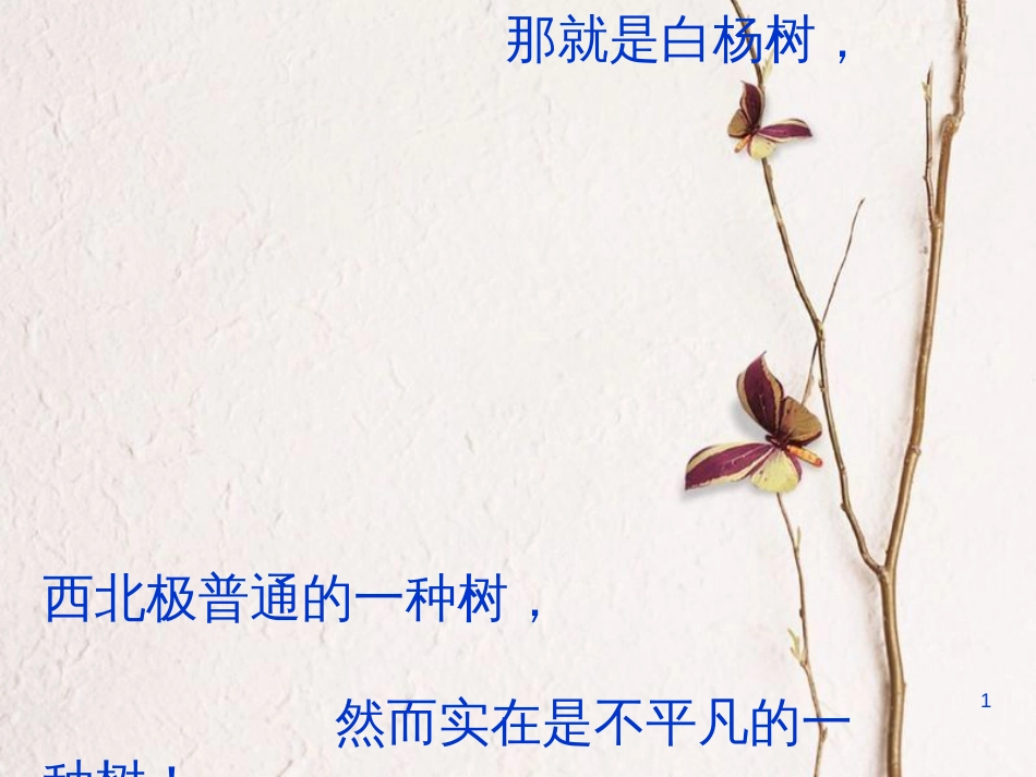 河南省原阳县九年级语文下册 第三单元 5《白杨礼赞》课件 北师大版_第1页