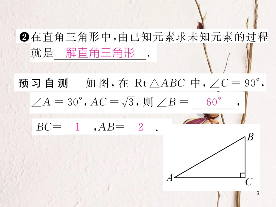 九年级数学下册 第28章 锐角三角函数 28.2.1 解直角三角形作业课件 （新版）新人教版_第3页