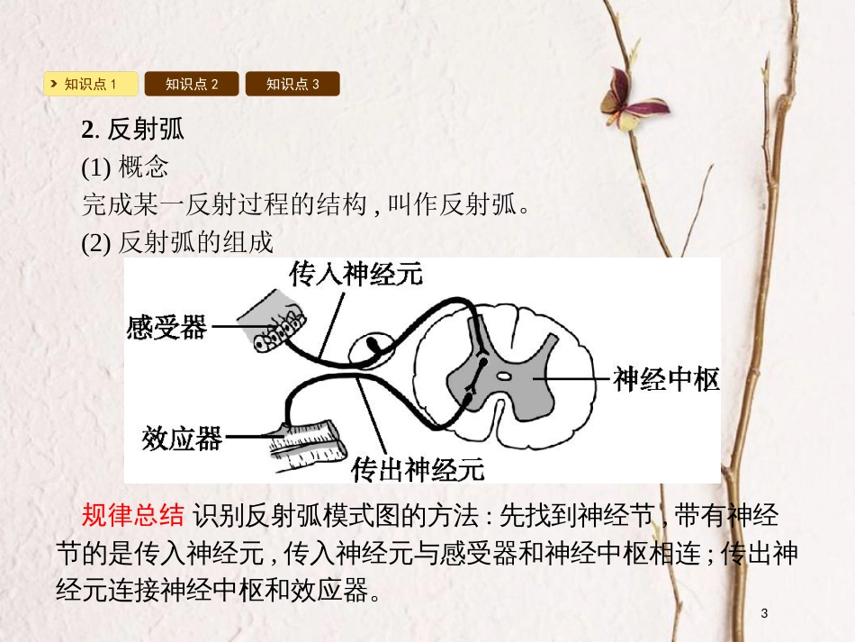 2018七年级生物下册 12.1 神经系统与神经调节课件2 （新版）北师大版_第3页