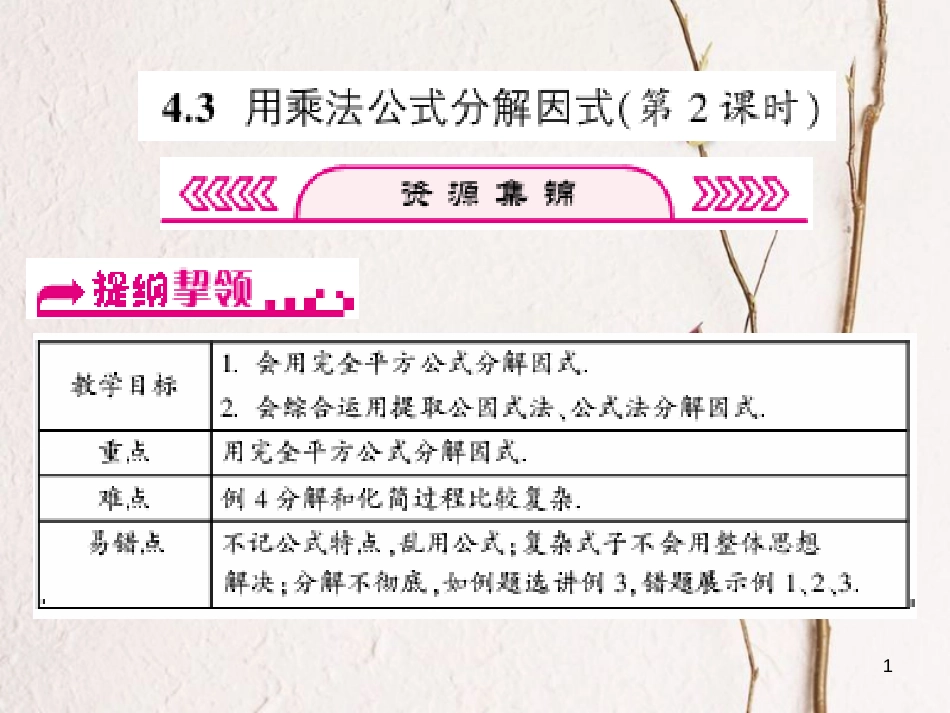 浙江省嘉兴市秀洲区七年级数学下册 第四章 因式分解 4.3 用乘法公式分解因式（第2课时）习题课件 （新版）浙教版_第1页