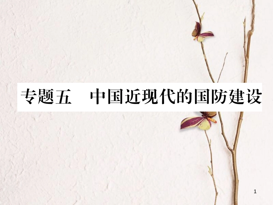（河北专版）中考历史总复习 专题5 中国近现代的国防建设课件_第1页