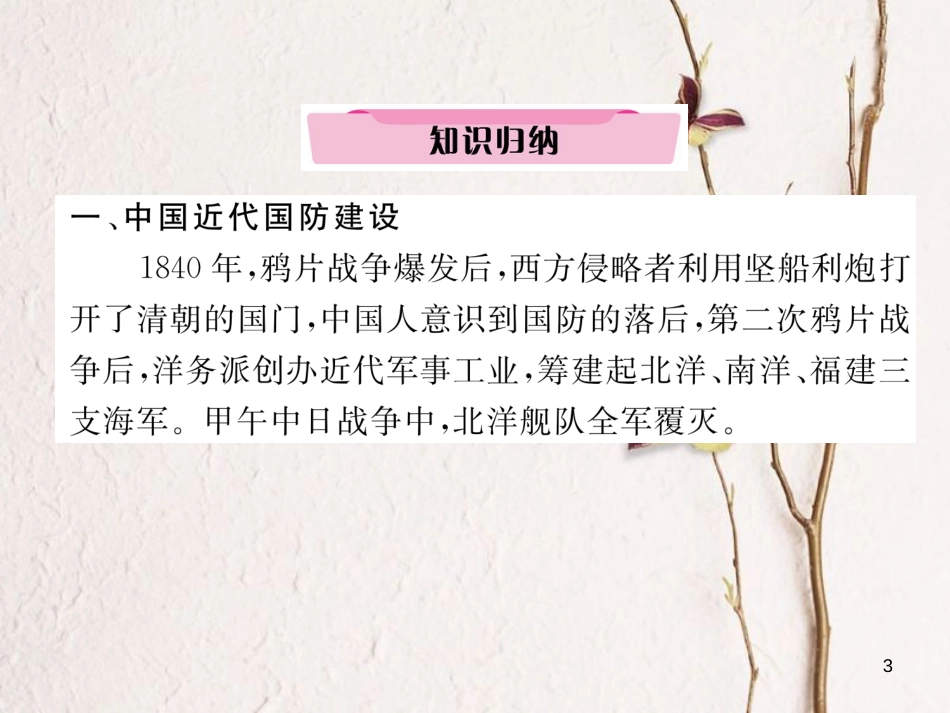 （河北专版）中考历史总复习 专题5 中国近现代的国防建设课件_第3页
