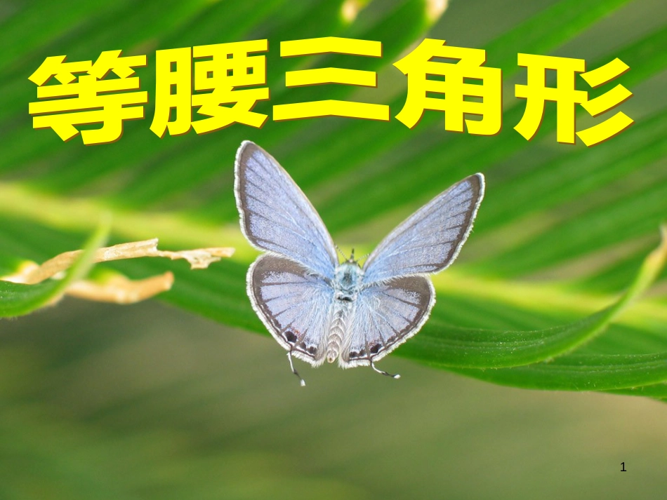 八年级数学下册 1.1 等腰三角形课件 （新版）北师大版_第1页