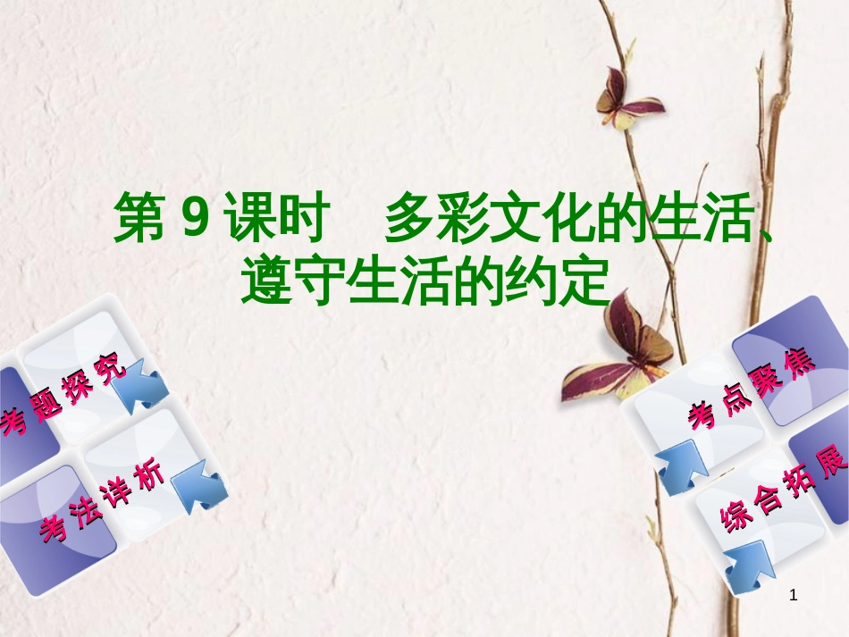 北京市中考政治 八年级 第九课时 多彩文化的生活、遵守生活的约定教材复习课件 人民版_第1页