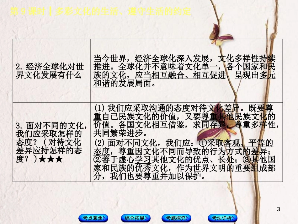 北京市中考政治 八年级 第九课时 多彩文化的生活、遵守生活的约定教材复习课件 人民版_第3页