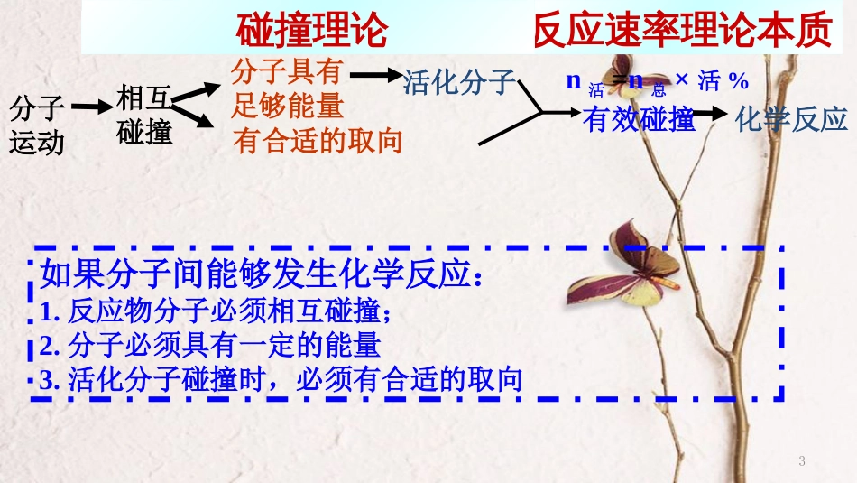 高中化学 第二章 化学反应的方向、限度与速率 第3节 化学反应的速率（第2课时）课件1 鲁科版选修4_第3页