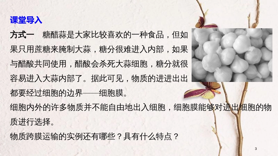 高中生物 第4章 细胞的物质输入和输出 第1节 物质跨膜运输的实例课件 新人教版必修1_第3页