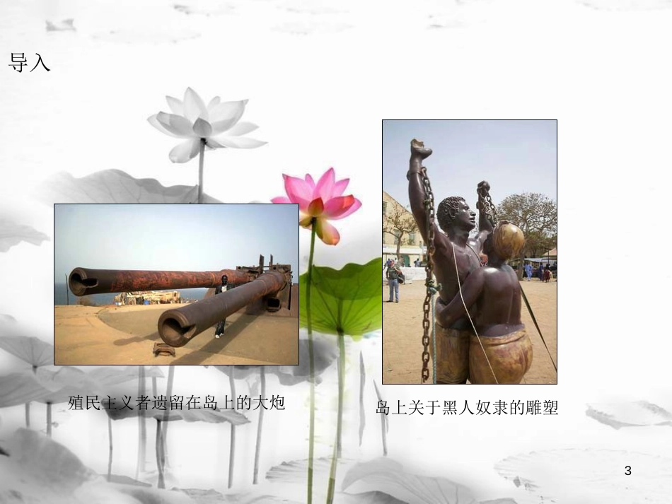 年秋九年级历史上册 第16课 殖民扩张与反殖民斗争课件 川教版_第3页