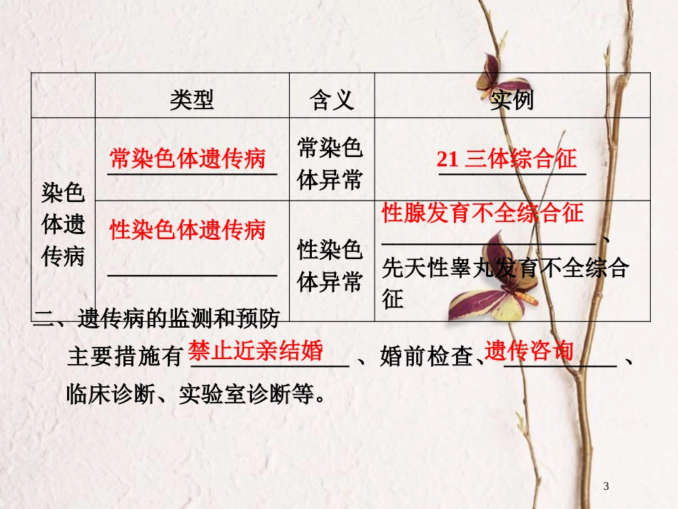 高中生物 第四章 遗传的分子基础 第18课时 关注人类遗传病课件 苏教版必修2_第3页