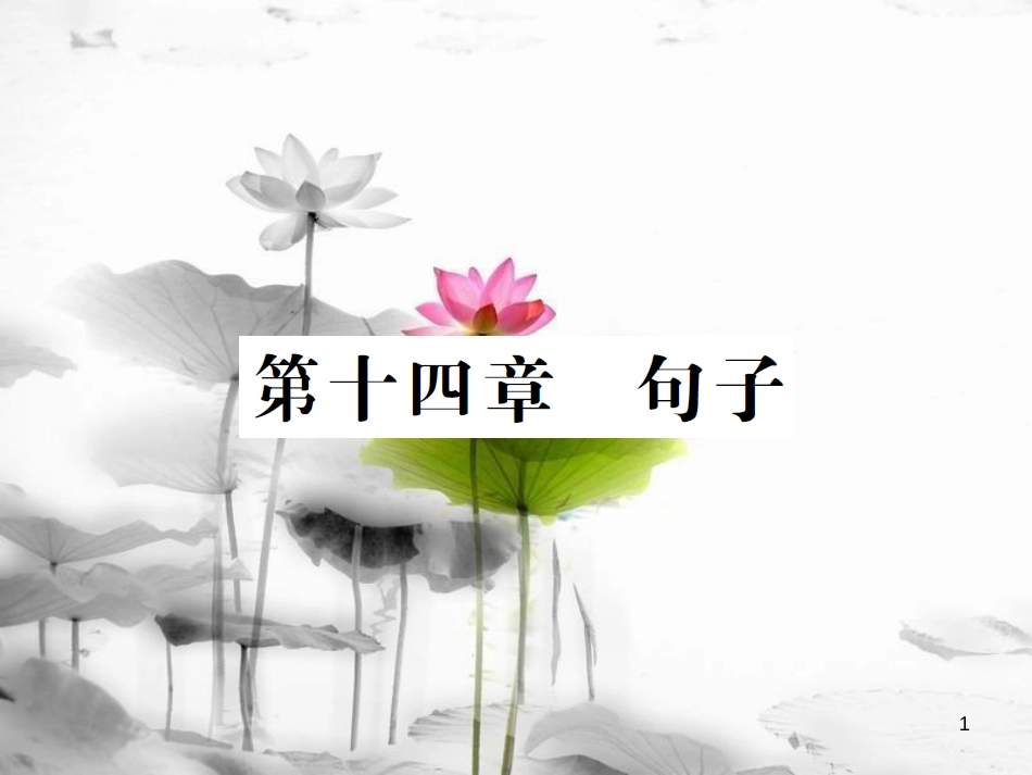 届中考英语复习 第二轮 语法突破 第十四章 句子课件_第1页