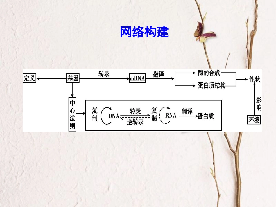 高中生物 第4章 基因的表达章末整合课件 新人教版必修2_第3页