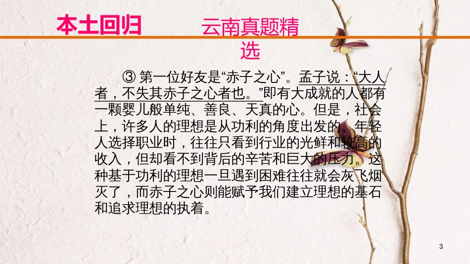 云南省中考语文复习方案 第四部分 现代文阅读 专题二 议论文阅读课件_第3页
