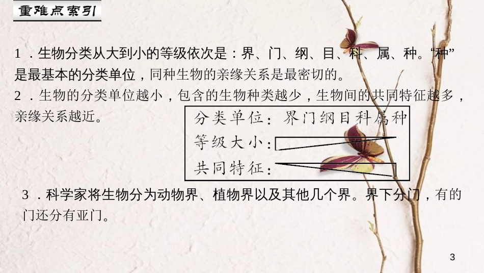 八年级生物上册 第六单元 第一章 第二节 从种到界课件 （新版）新人教版_第3页