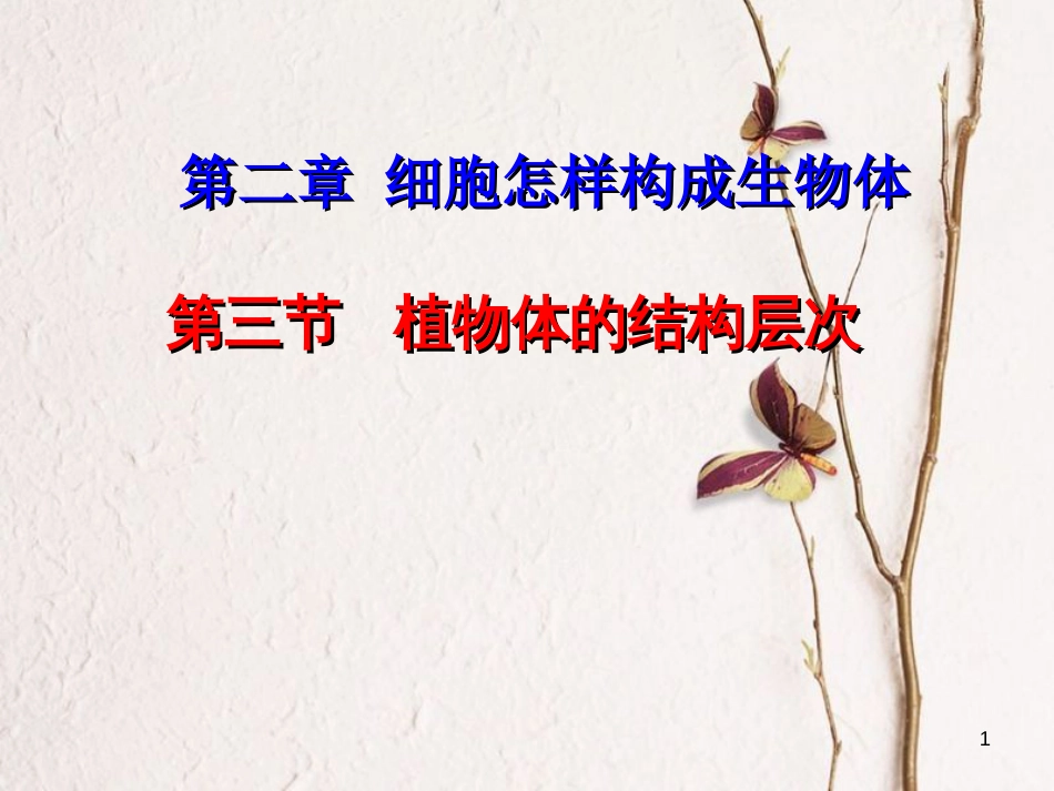 湖南省桑植县七年级生物上册 第二单元 第二章 第三节 植物体的结构层次课件 （新版）新人教版_第1页