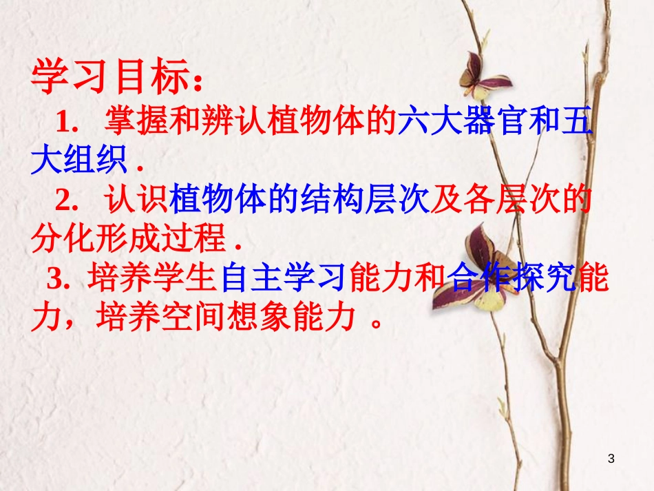 湖南省桑植县七年级生物上册 第二单元 第二章 第三节 植物体的结构层次课件 （新版）新人教版_第3页