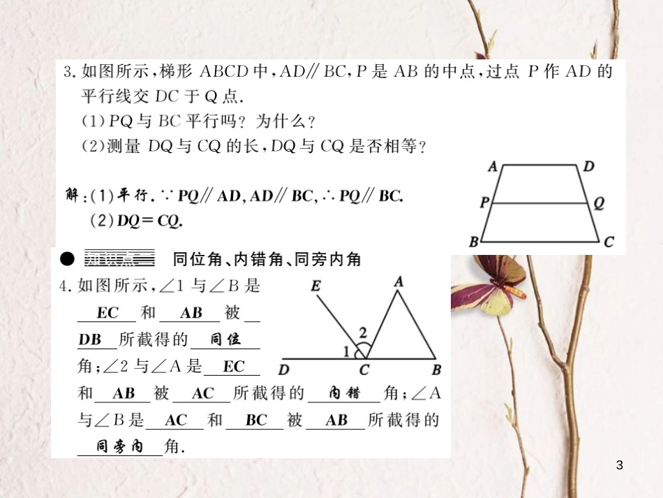 七年级数学下册 第十章 相交线平行线与平移 10.2 平行线的判定（第1课时）习题课件 （新版）沪科版_第3页