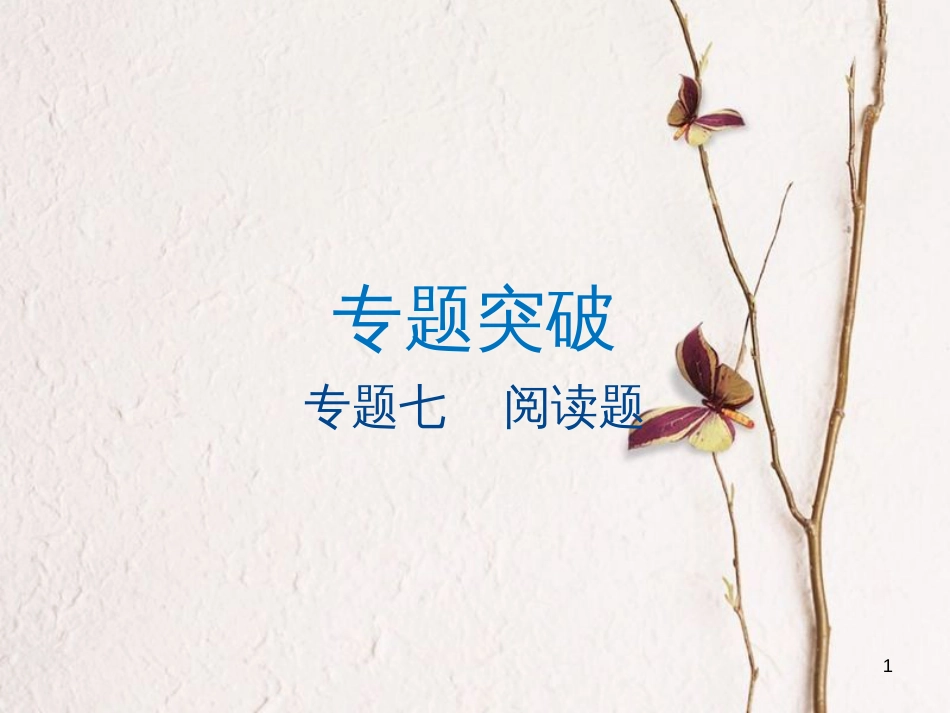 江苏省大丰市中考物理专题七阅读题复习课件_第1页