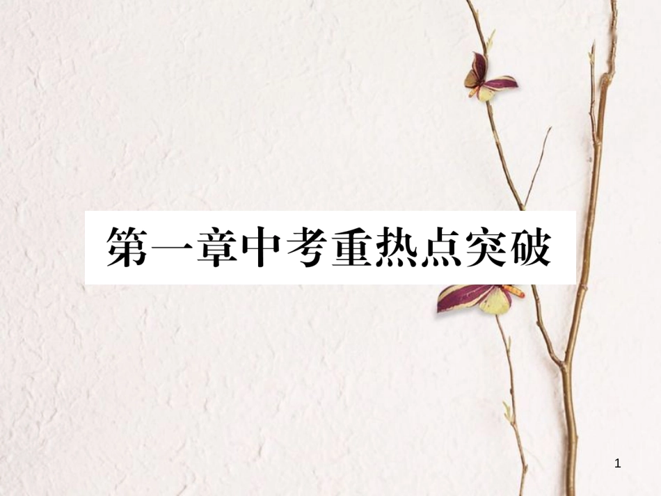 九年级数学下册 第一章 直角三角形的边角关系中考重热点突破作业课件 （新版）北师大版_第1页