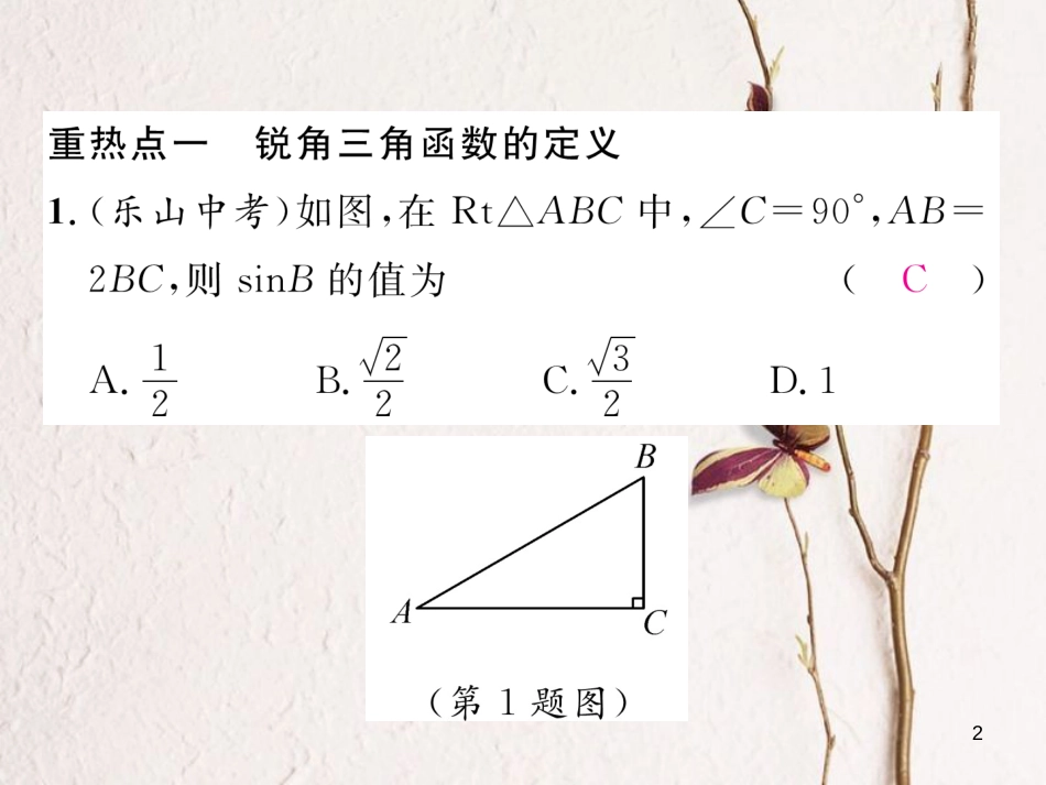 九年级数学下册 第一章 直角三角形的边角关系中考重热点突破作业课件 （新版）北师大版_第2页