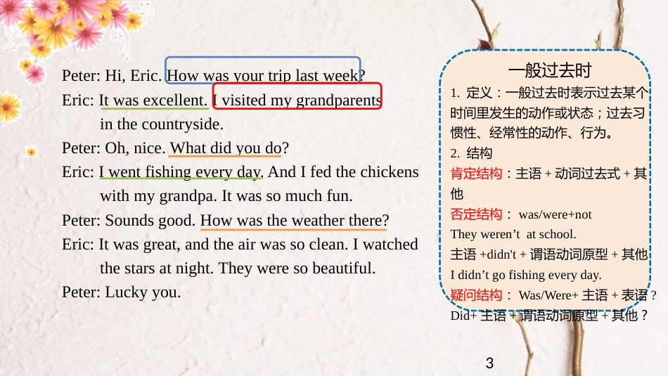 七年级英语下册 Unit 11 How was your school trip Section A句法语法课件 （新版）人教新目标版_第3页
