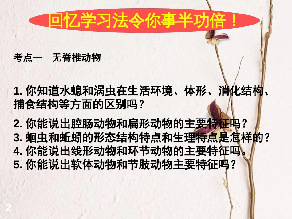 八年级生物上册 第五单元 第1章 动物的主要类群复习课件 （新版）新人教版_第2页
