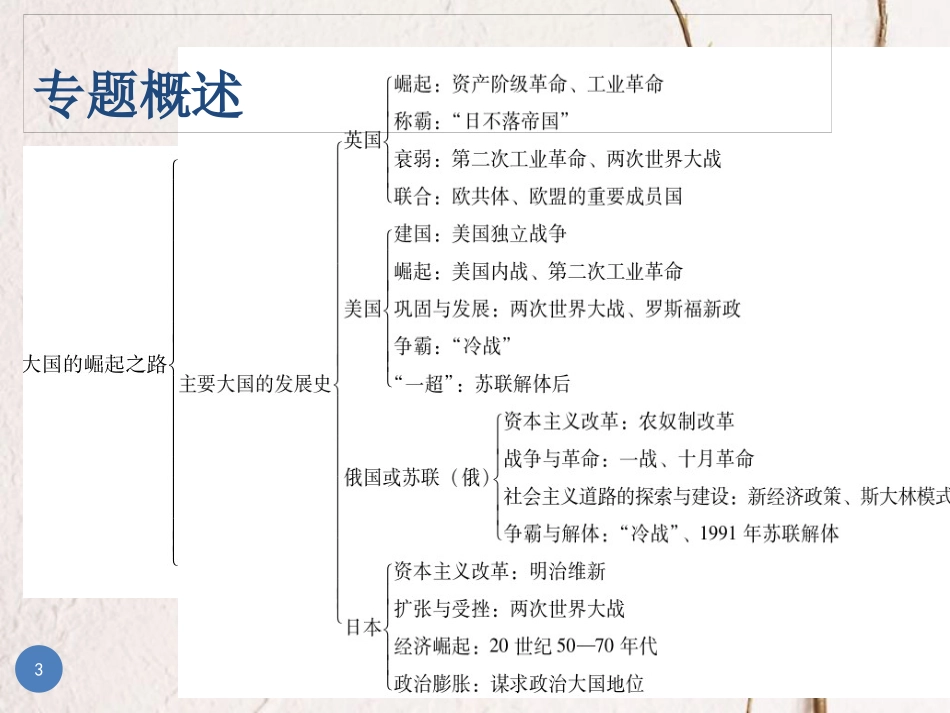 广东省中考历史总复习 第二部分 专题复习 专题五 大国的崛起之路课件_第3页
