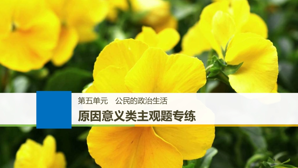 （江苏专版）2019届高考政治一轮复习 第五单元 公民的政治生活原因意义类主观题专练课件 新人教版必修2_第1页
