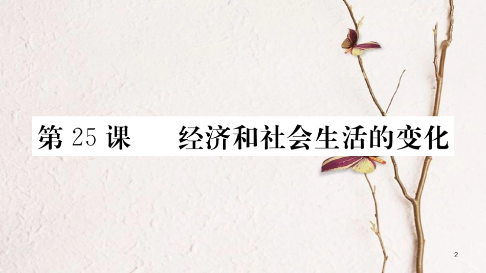 八年级历史上册 第八单元 近代经济、社会生活与教育文化事业的发展 25 经济和社会生活的变化课件 新人教版_第2页