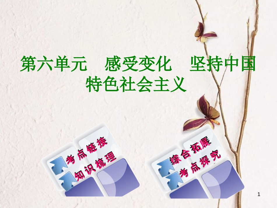 广西北部湾四市中考政治 第六单元 感受变化 坚持中国特色社会主义复习课件_第1页