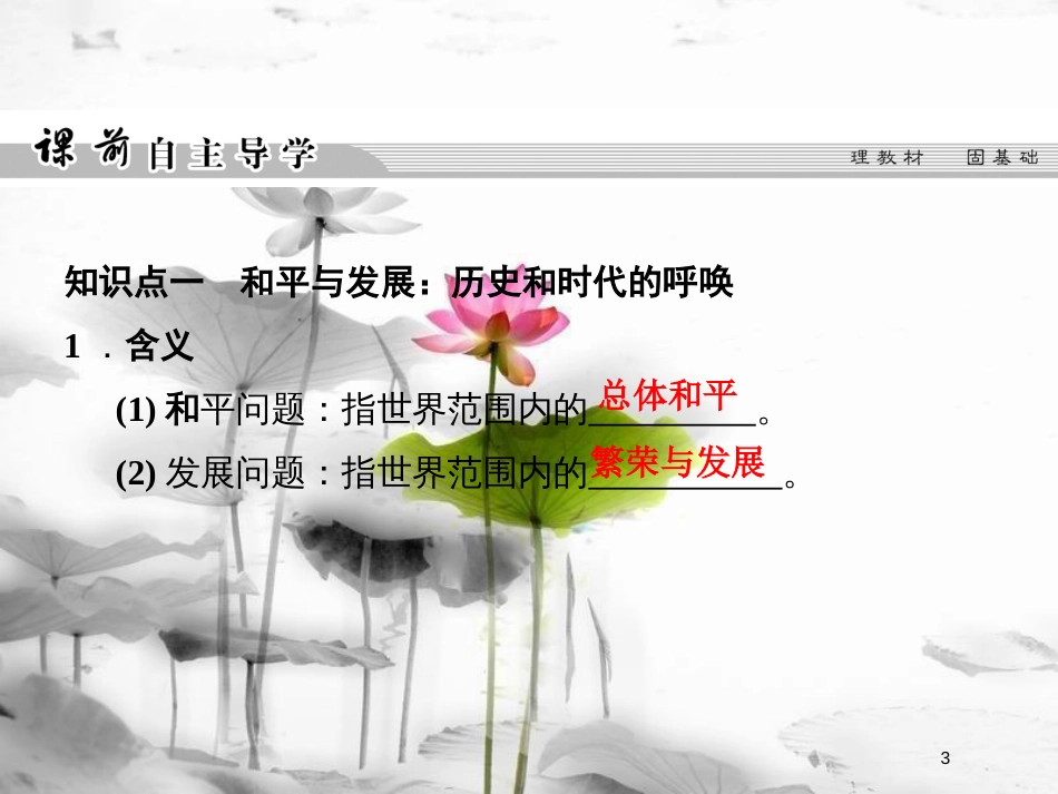 高中历史 第六单元 和平与发展 6-3 和平与发展：当今世界的主题课件 新人教版选修3_第3页