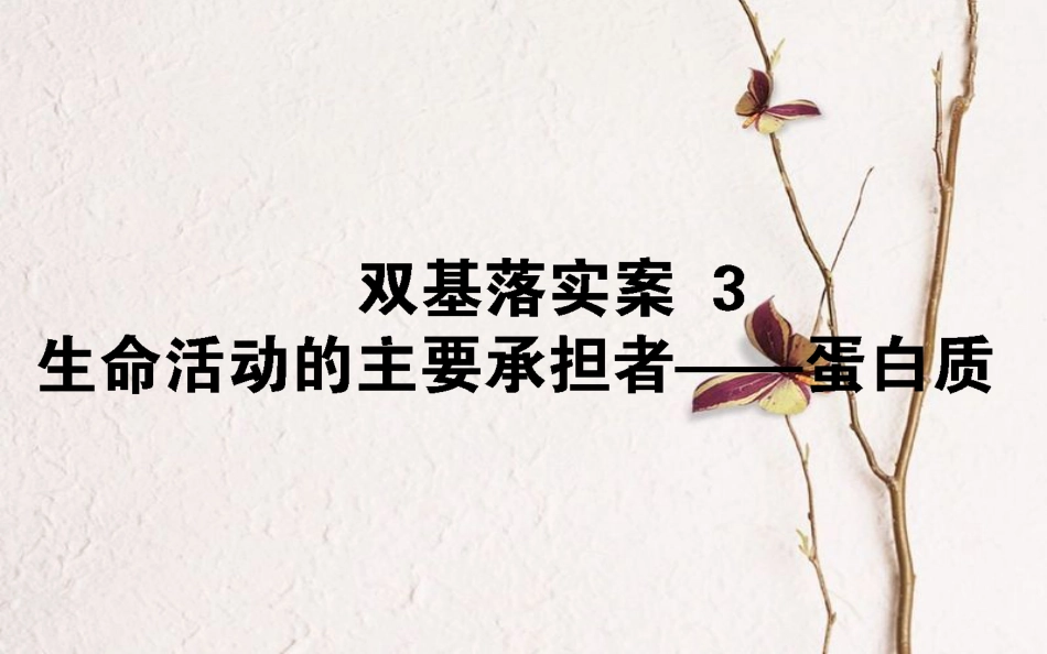 （全国通用）高考生物二轮复习 双基落实案3 生命活动的主要承担者——蛋白质课件_第1页