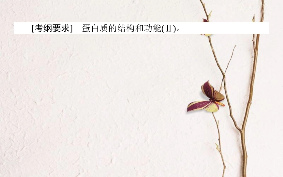 （全国通用）高考生物二轮复习 双基落实案3 生命活动的主要承担者——蛋白质课件_第2页