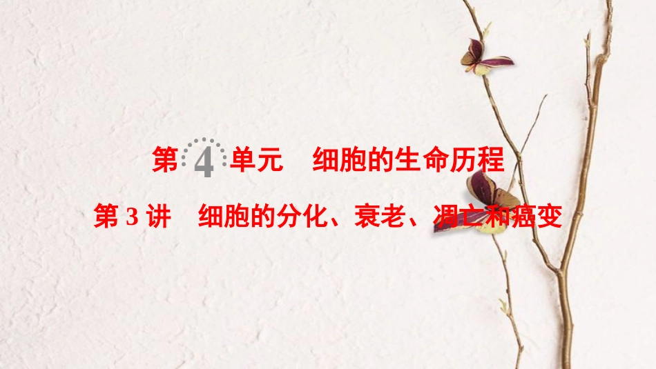 （全国版）2019版高考生物一轮复习 第4单元 细胞的生命历程 第3讲 细胞的分化、衰老、凋亡和癌变课件_第1页