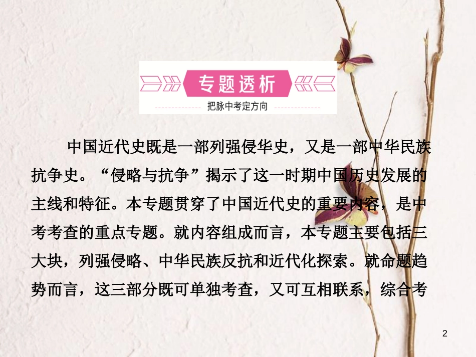 山东省临沂市中考历史复习 专题三 近代西方列强的侵略和中华民族的抗争与探索课件_第2页