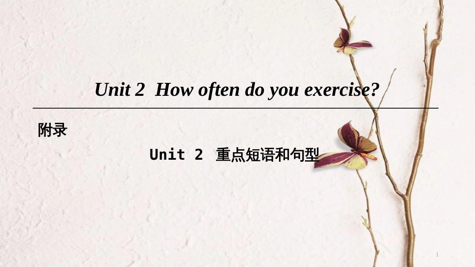 八年级英语上册 Unit 2 How often do you exercise重点短语和句型课件 （新版）人教新目标版_第1页