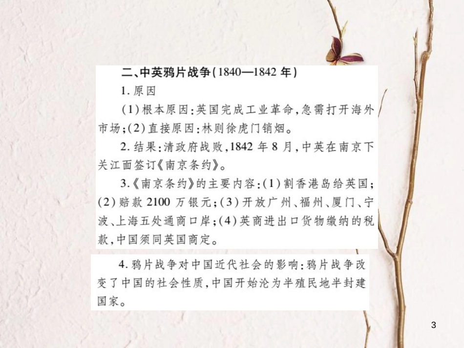 中考历史总复习 第二部分 中国近代史 1 列强的侵略与中国人民的抗争课件_第3页