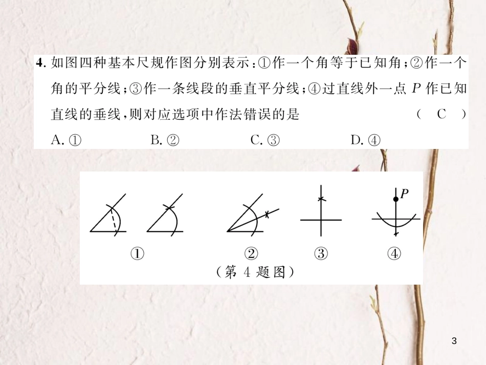 七年级数学下册 第5章 生活中的轴对称达标测试卷作业课件 （新版）北师大版_第3页