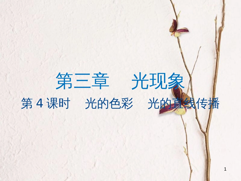 江苏省大丰市中考物理第4课时光的色彩光的直线传播复习课件_第1页