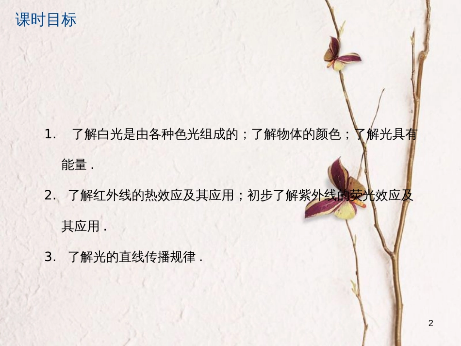 江苏省大丰市中考物理第4课时光的色彩光的直线传播复习课件_第2页