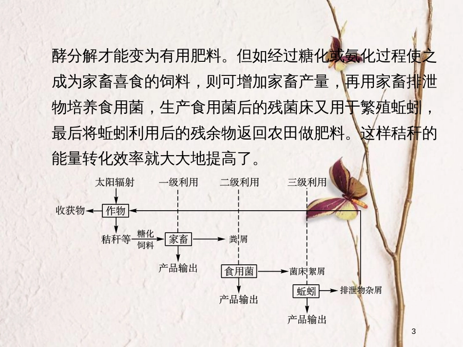 高中生物 第二单元 生态工程与生物安全 第一章 生态工程章末整合课件 中图版选修3_第3页