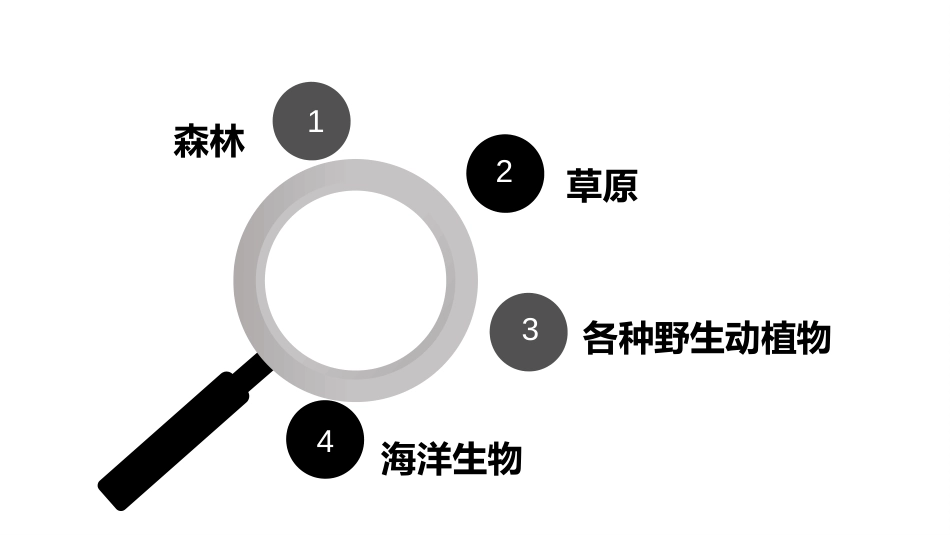 (75)--生物景观旅游资源-各种野生动植物和海洋生物_第2页