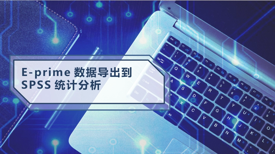 SPSS数据文件的建立数据 (2)_第1页