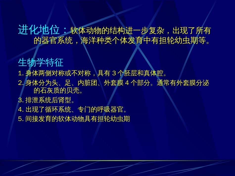 动物生物学六、软体动物门_第3页