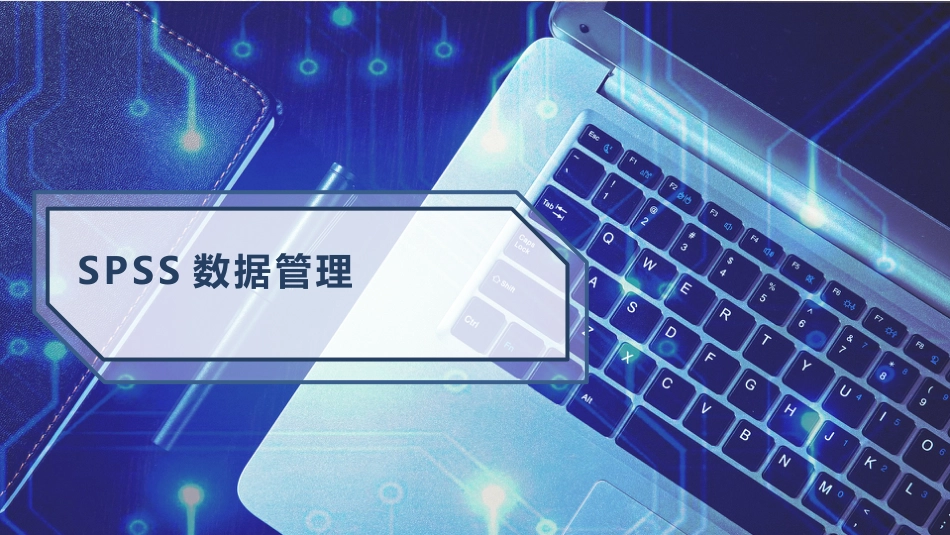 SPSS数据文件的建立数据 (9)_第1页