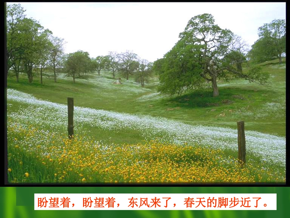 春朱自清[共56页]_第3页